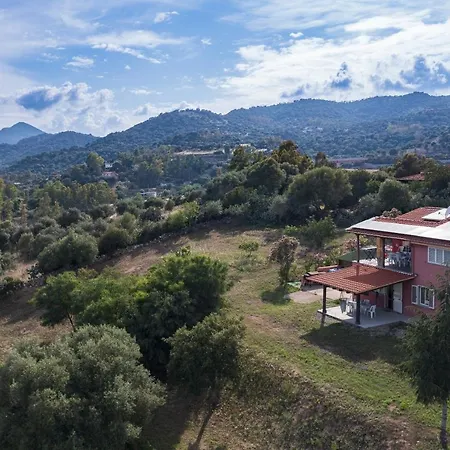 La Collina Degli Ulivi *