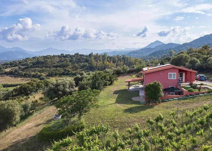 La Collina Degli Ulivi Bari Sardo